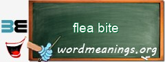 WordMeaning blackboard for flea bite